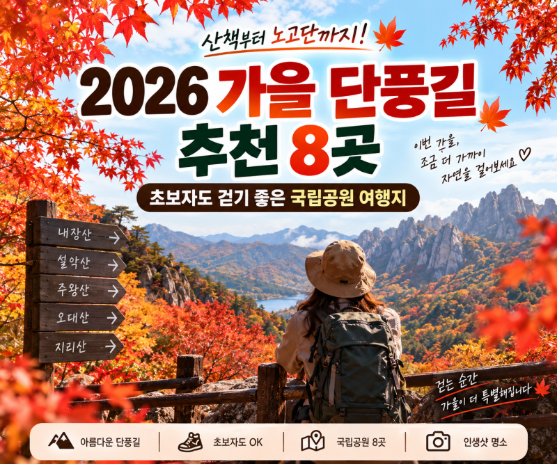 2026 가을 단풍길 추천 초보자도 걷기 좋은 국립공원 8곳｜산책부터 노고단까지