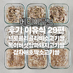 [후기이유식 29편] 브로콜리콜라비소고기진밥 목이버섯양파돼지고기진밥 감자애호박소고기....