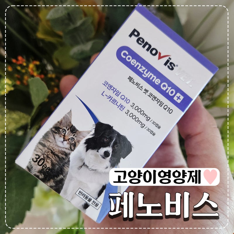 고양이 종합영양제 믿고먹이는 페노비스 벳 코엔자임Q10