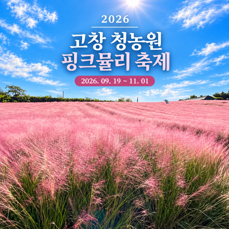 2026 고창 청농원 핑크뮬리 축제 기간·주차·개화시기 / 고창 가볼만한곳