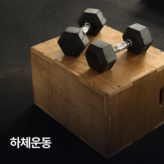 하체운동 종류 스쿼트 런지 데드리프트, 초보자 시작 전 확인할 것