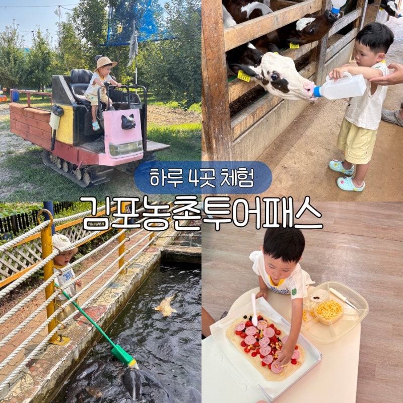 김포 아이와 가볼만한곳 김포농촌투어패스 하루 4곳 체험 추천 코스