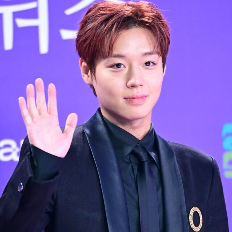 박지훈 근황 정리, 왕사남 흥행과 콘서트 피날레