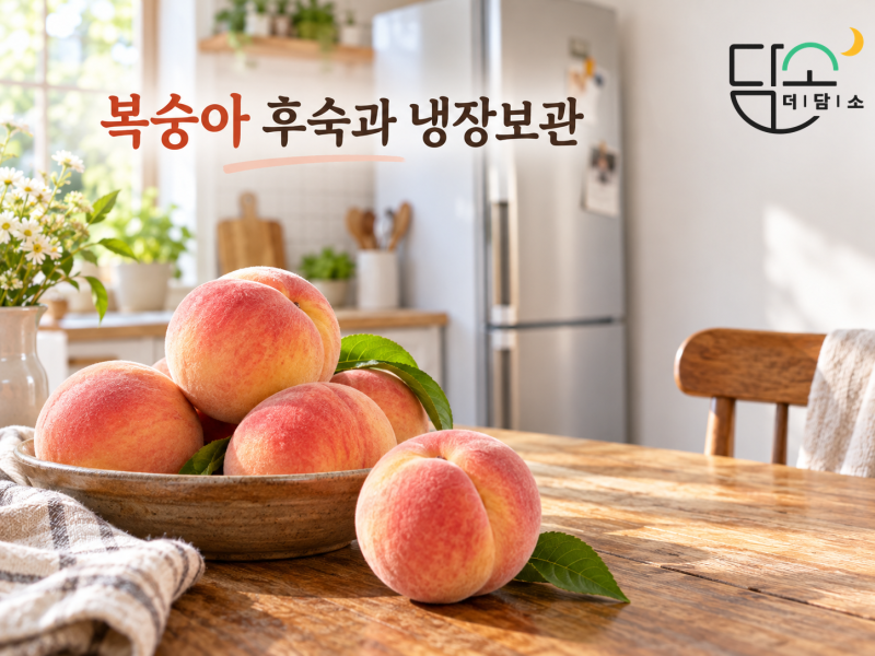 복숭아 냉장고에 바로 넣어도 될까? 딱딱한 복숭아 후숙과 냉장·냉동 보관법
