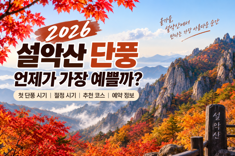 2026 설악산 첫 단풍 날짜·절정 시기｜구경하기 좋은 추천 코스·흘림골 예약 방법