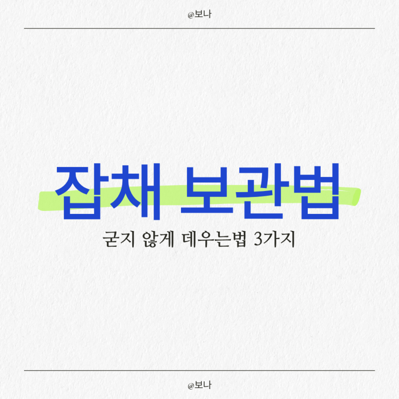 잡채 보관법 냉장 냉동 (명절 남은 음식) 당면 굳지 않게 데우는법 3가지