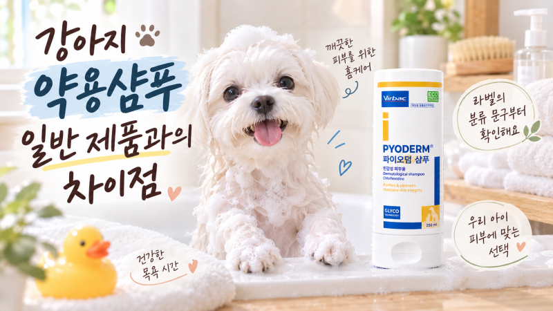 강아지 약용샴푸 일반 제품과의 차이점