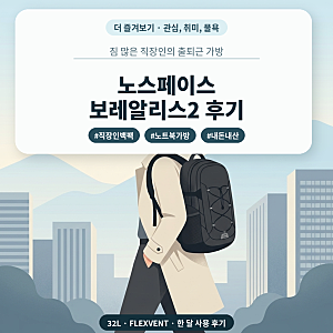 노스페이스 보레알리스2 후기｜짐 많은 직장인이 3주간 사용해 본 백팩