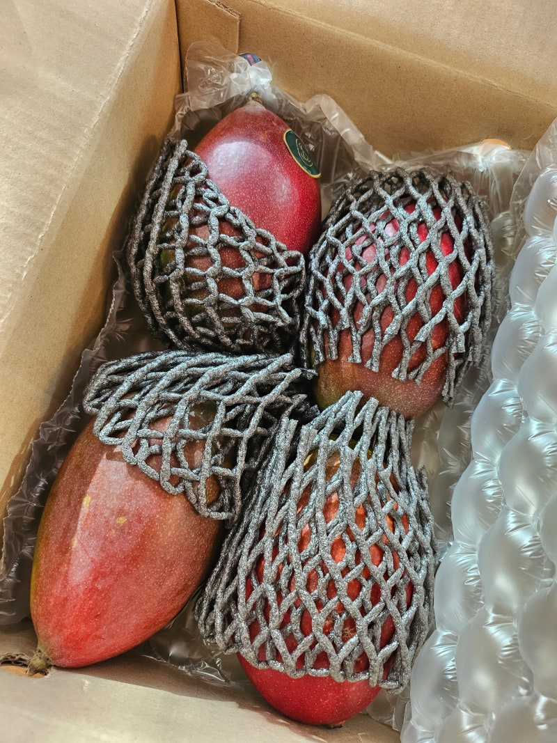 카카오톡 선물하기 수플린 프리미엄 애플망고 후기