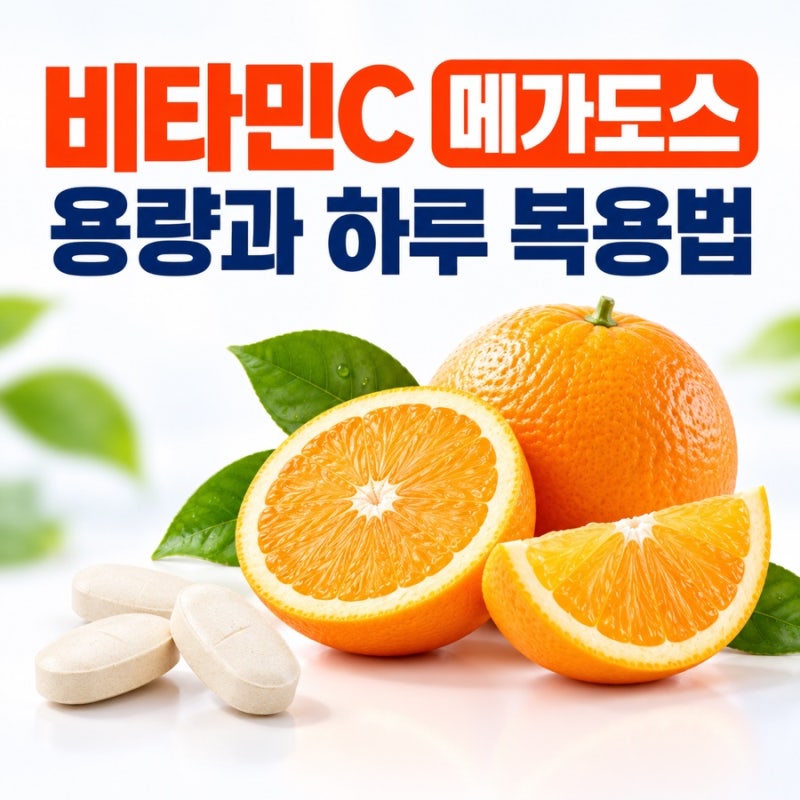 비타민C 메가도스 용량 2000 3000 하루 복용법