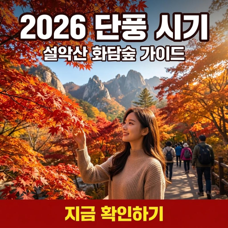 [다운로드] 10월 단풍 시기 언제? 설악산 내장산 화담숲 단풍지도 요약