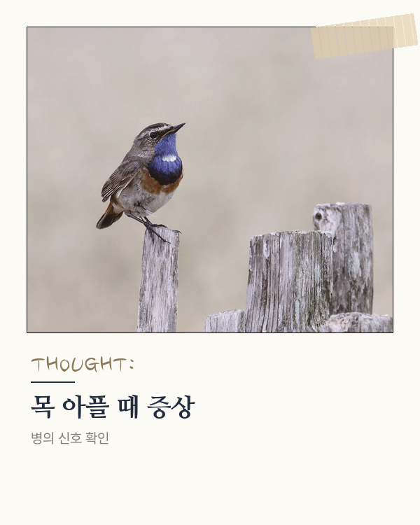 인후통 심할 때 나타나는 주요 증상과 그 의미