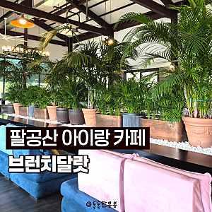대구 팔공산 아이랑 카페 :: 브런치달랏 동물먹이주기 마차탑승 좌식 내돈내산