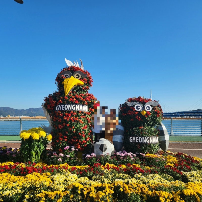 2026 마산 가고파 국화축제 기간 일정 주차장 커플 여행 후기