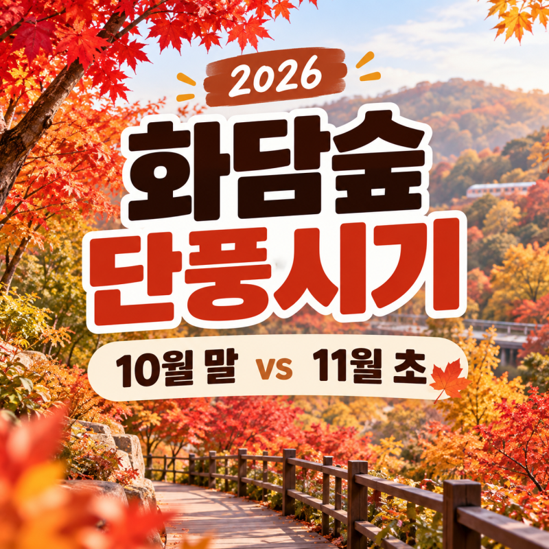 화담숲 단풍시기 2026 | 10월 말 vs 11월 초, 단풍 절정은 언제?
