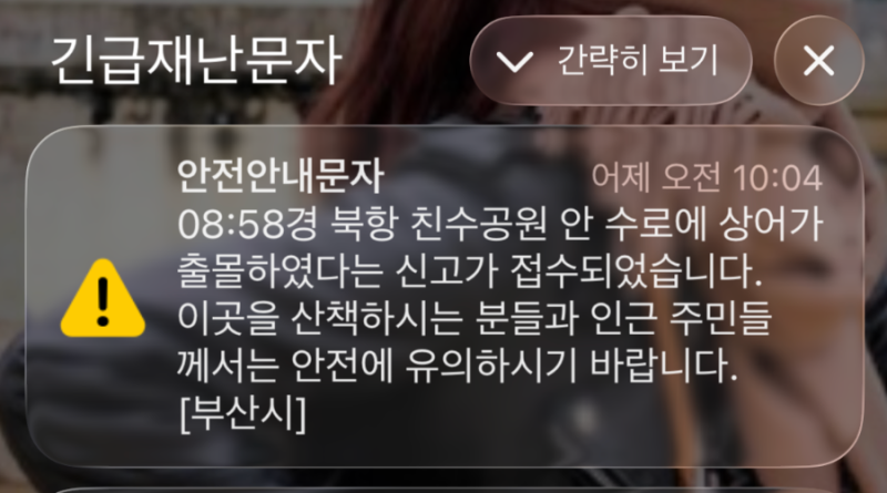 부산 북항 친수공원에 3m 상어가 왜 나타났을까? 산책하다 보면 놀라실걸요