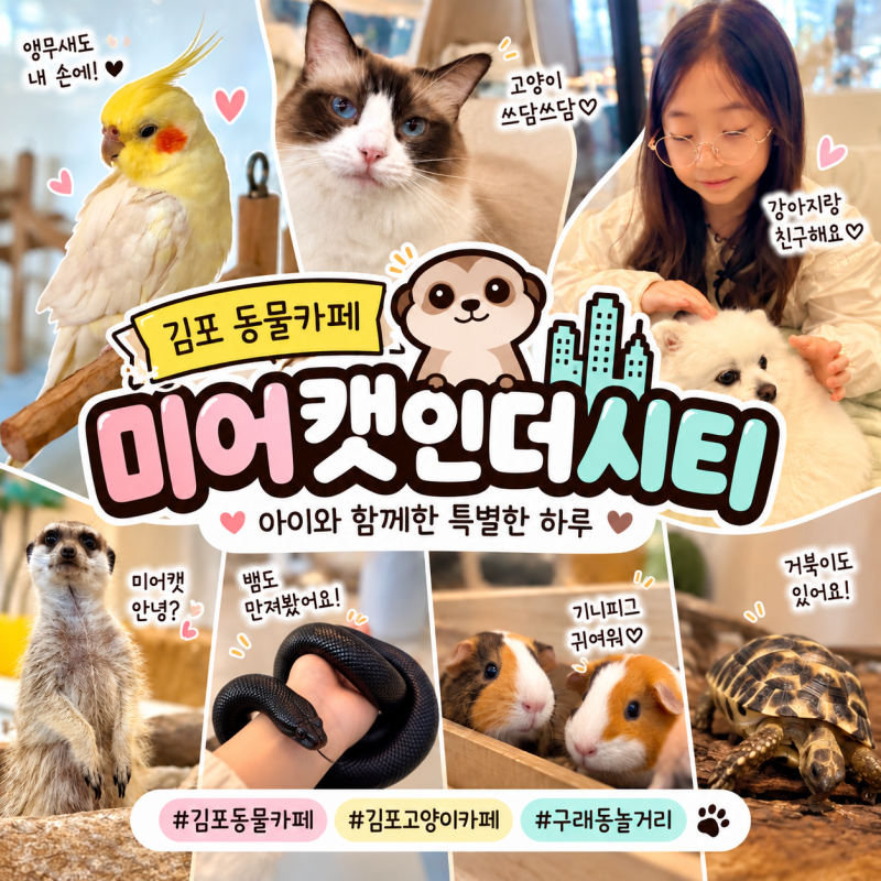 김포동물카페 미어캣인더시티 아이와 이색동물 체험 구래동놀거리