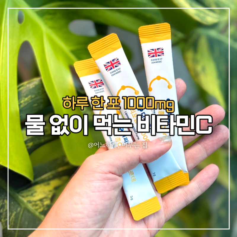 디피랩스 DP LABS 리포좀비타민C 1000mg 직접 먹어봤어요