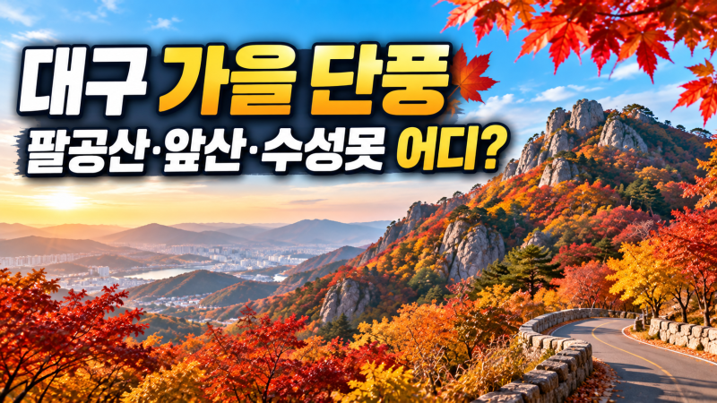 대구 가을 단풍 어디가 좋을까?｜팔공산·앞산·수성못 절정시기 총정리