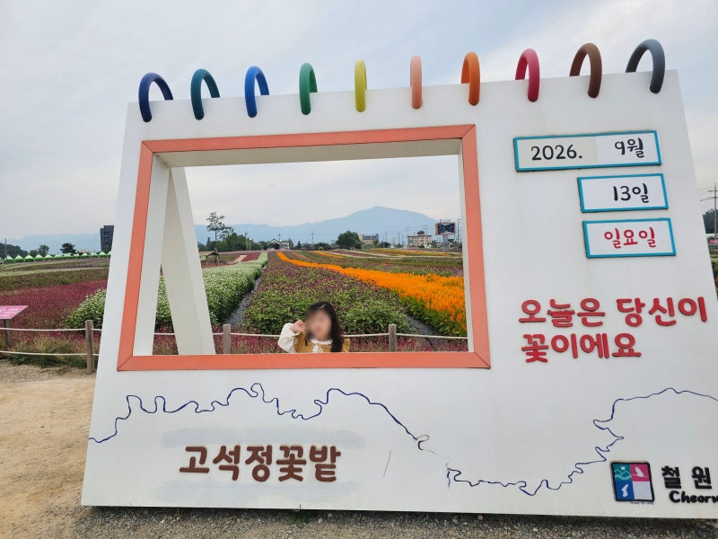 3자녀 무료입장으로 다녀온 철원 고석정 꽃밭 가을 나들이