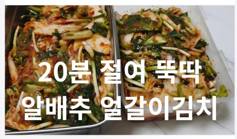 얼갈이 알배추 김치 담그는 법 풋내 없이 맛있는 막김치 레시피
