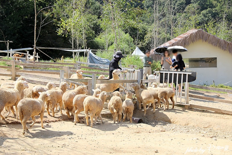 경기도 가볼만한곳 추석연휴 서울근교데이트