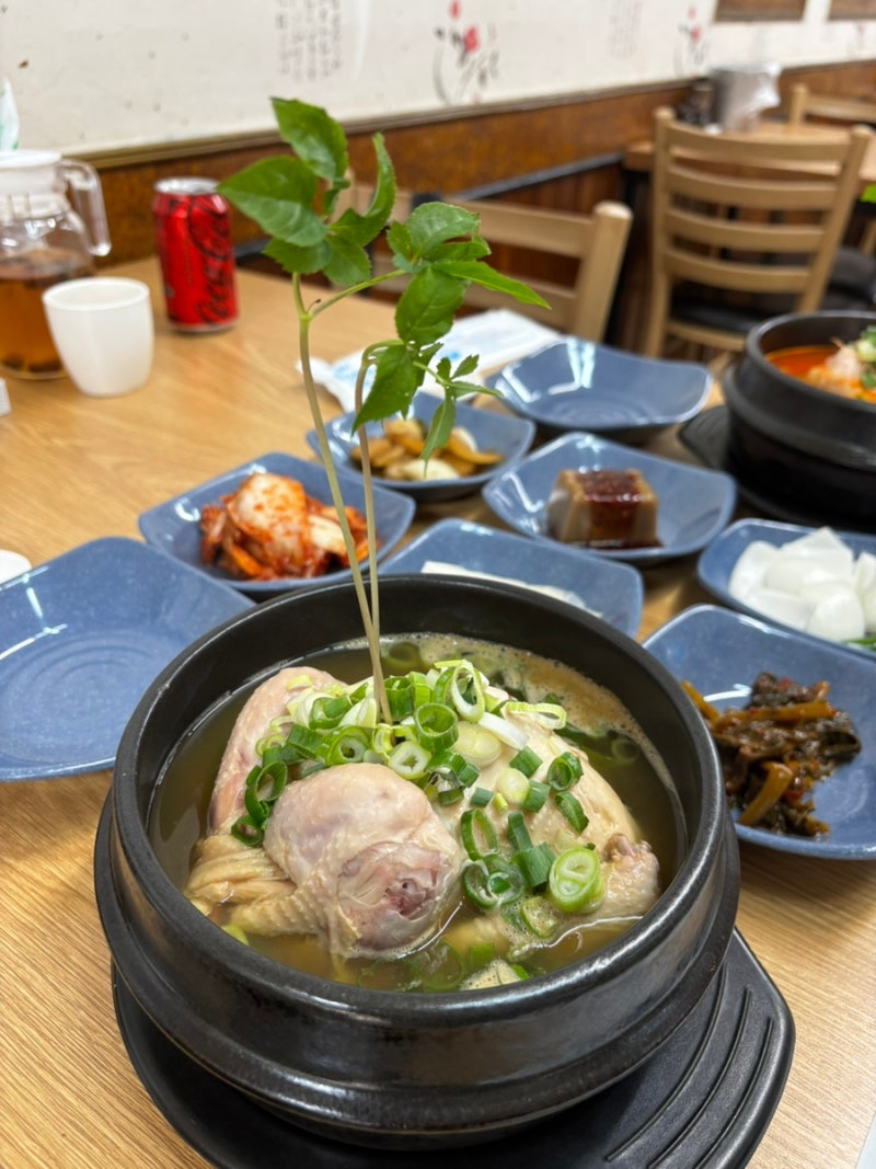 수원 행궁동 맛집 수원삼계탕 40년 된 삼계탕 찐맛집 추천 후기