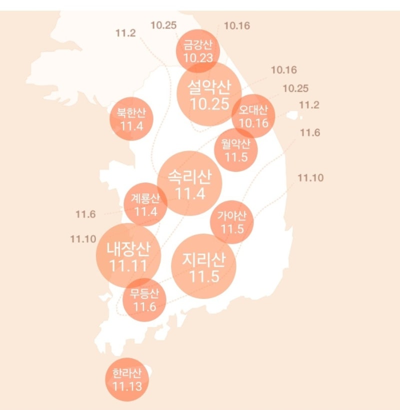 2026년 전국 단풍 절정 시기 총정리! 설악산·내장산·화담숲 가볼 만한 곳 추천