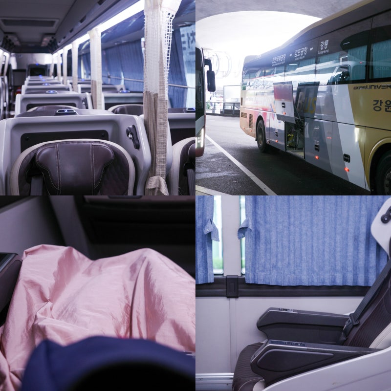 프리미엄 고속버스 미러링 좌석 공항 버스 여행 정보