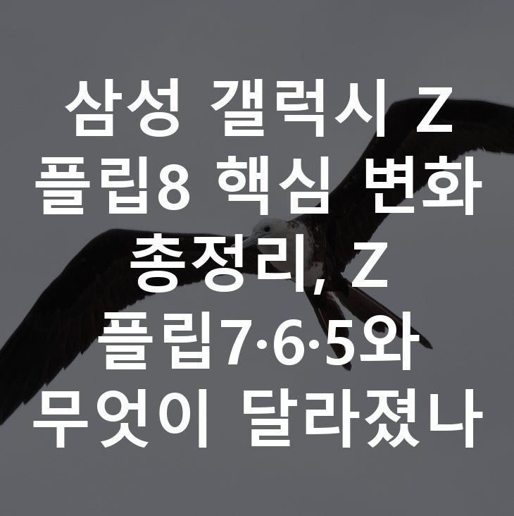 삼성 갤럭시 Z 플립8 핵심 변화 총정리, Z 플립7·6·5와 무엇이 달라졌나