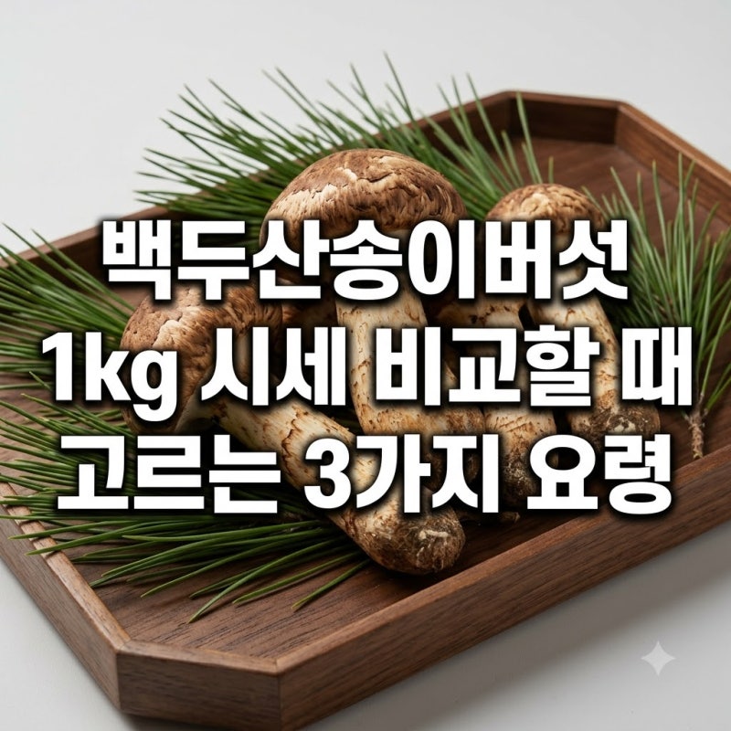 백두산송이버섯 1kg 시세 비교할 때 고르는 3가지 요령