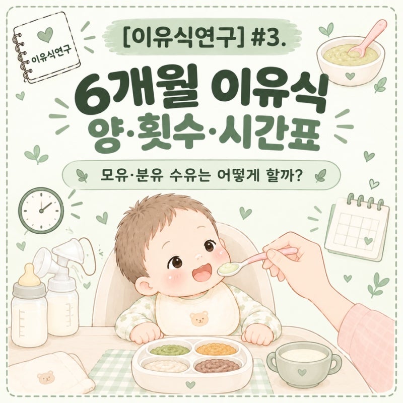 [이유식연구] #3. 6개월 이유식 양·횟수·시간표｜모유·분유 수유는 어떻게 할까?