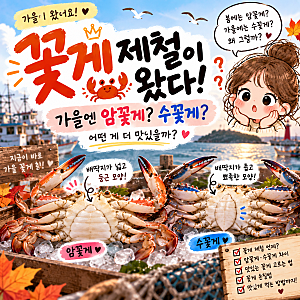 꽃게 제철 언제일까? 가을엔 암꽃게·수꽃게 뭐가 맛있을까? 고르는 법까지