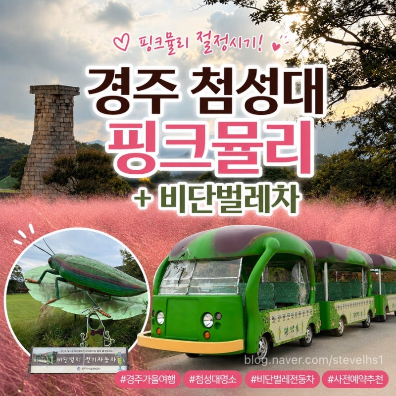 경주 첨성대 핑크뮬리 개화시기와 비단벌레차 사전예약 꿀팁