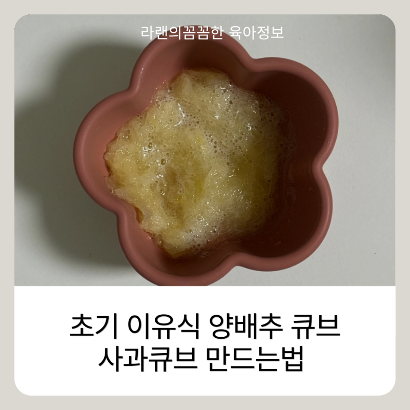 초기 이유식 양배추 큐브 만들기 전자레인지 레시피 사과큐브 만드는법 아기 반응