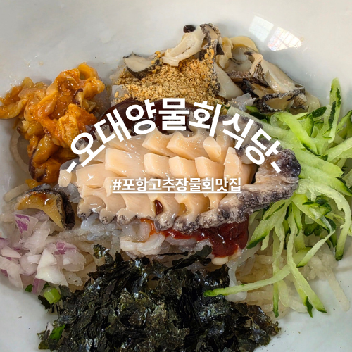 포항 물회 맛집 현지인추천 고추장물회전문 오대양물회식당