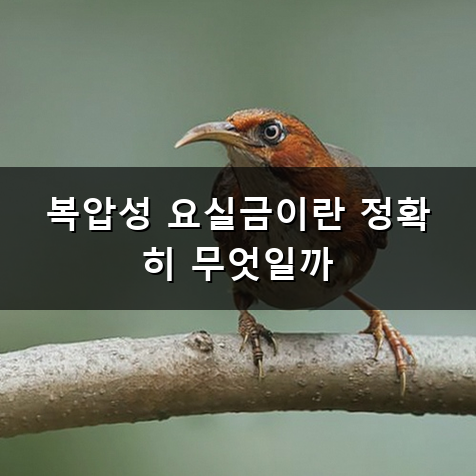 요실금 수술 언제 결심하게 될까 비용과 회복 기간 궁금한 점들