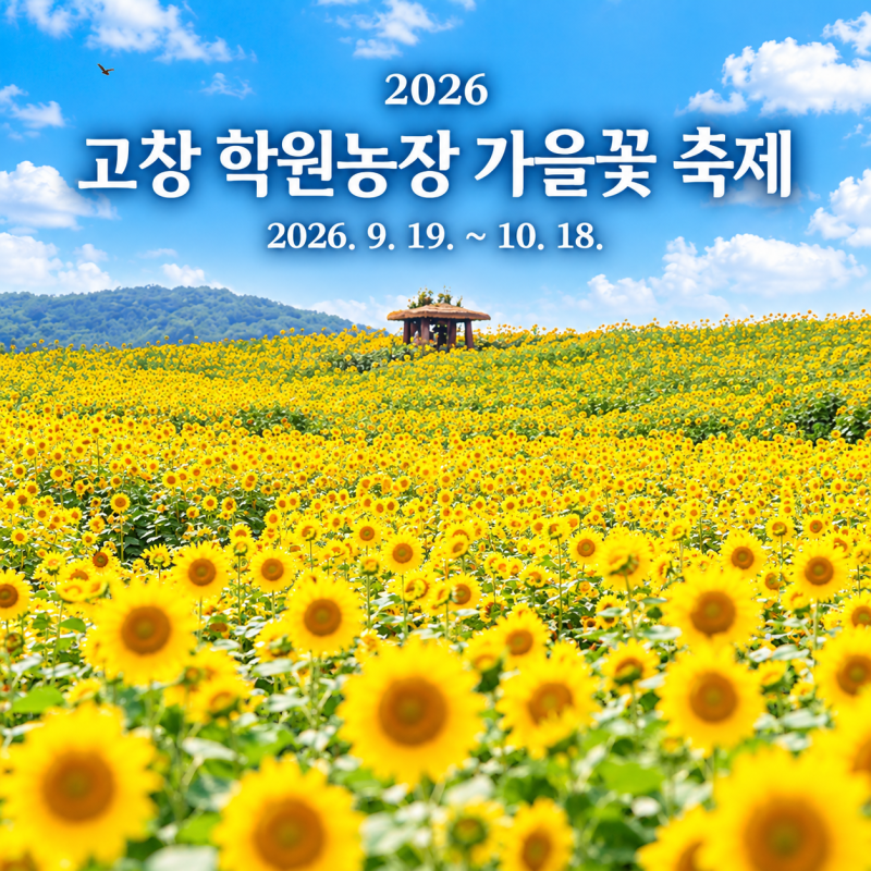 2026 고창 가볼만한곳｜학원농장 메밀꽃·해바라기 가을꽃밭 개장