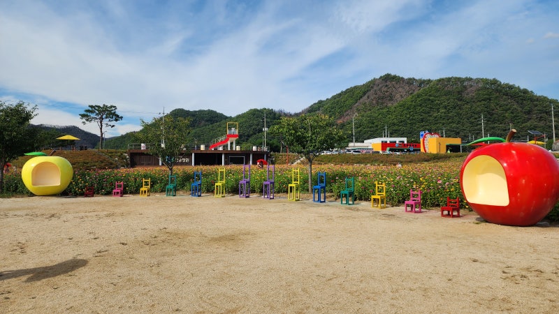 [경북 청송 가볼만한 곳] 만개한 산소카페 청송정원 백일홍 축제 & 청송백자축제 다녀온 후기