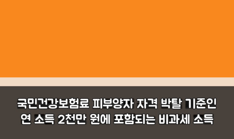 국민건강보험료 피부양자 자격 박탈 기준인 연 소득 2천만 원에 포함되는 비과세 소득