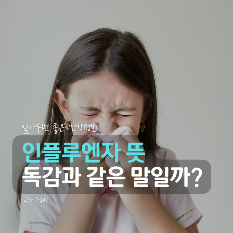 인플루엔자 뜻 독감과 같은 말일까? 감기와 차이 증상까지