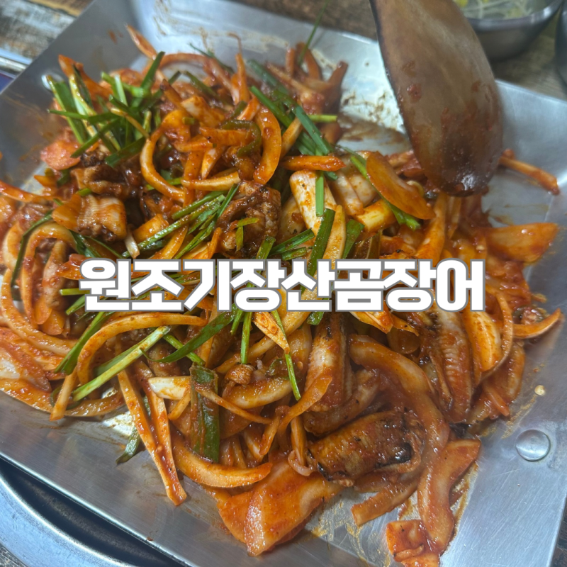 어디든간대호 부산 곰장어 맛집 원조기장산곰장어 무료주차, 주문 팁
