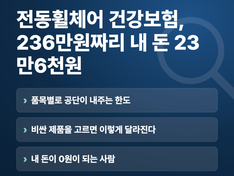 전동휠체어 건강보험, 236만원짜리 내 돈 23만6천원
