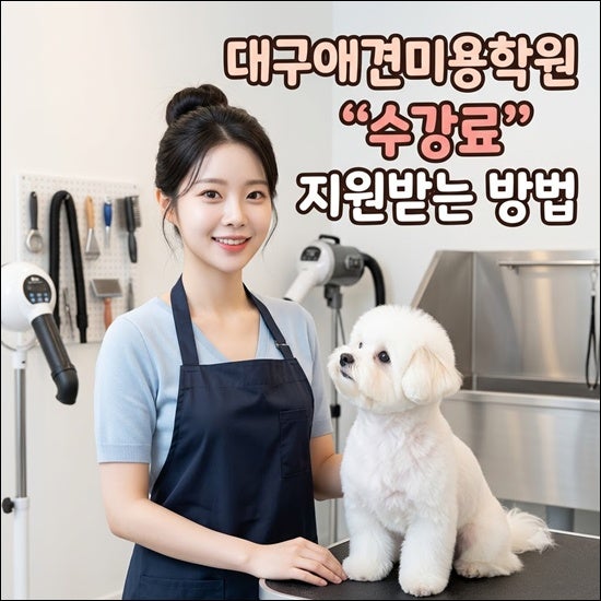 대구애견미용학원 비용 고민이라면? 국비지원, 장학지원 혜택 추천 후기