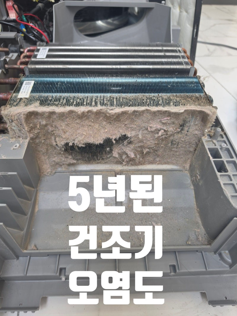 송파구 위례 건조기청소 LG, 삼성 상관없이 분해청소 진행후기