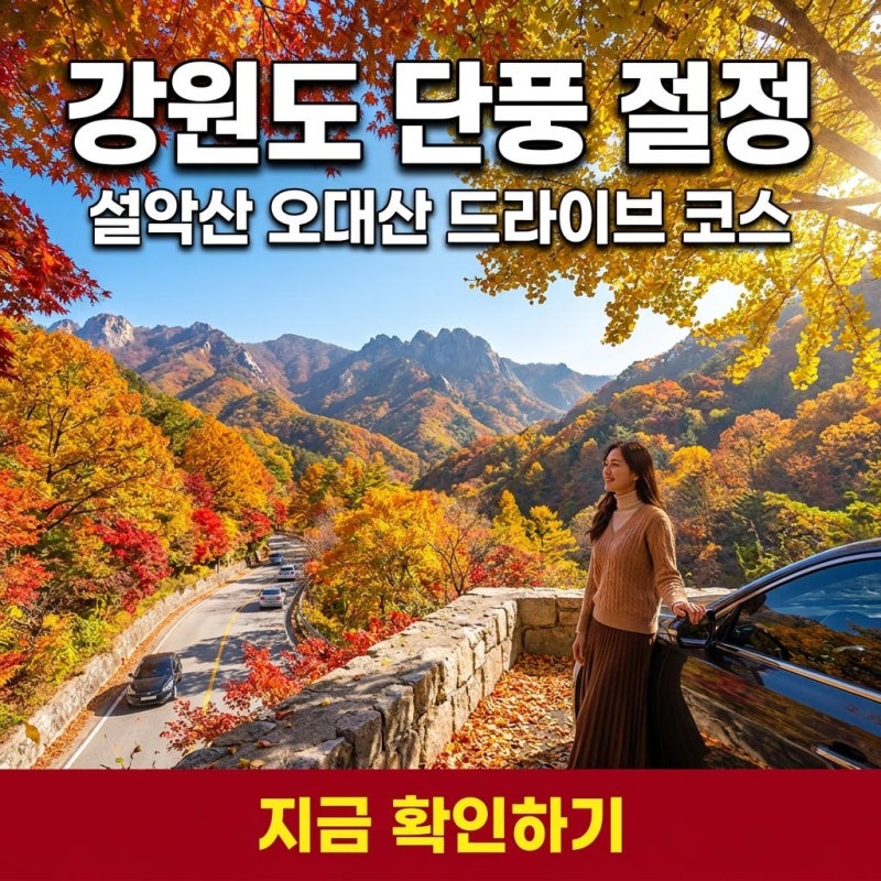 (강원도 편) 10월 단풍 시기 언제? 이번 주말 당일치기 드라이브 코스 추천