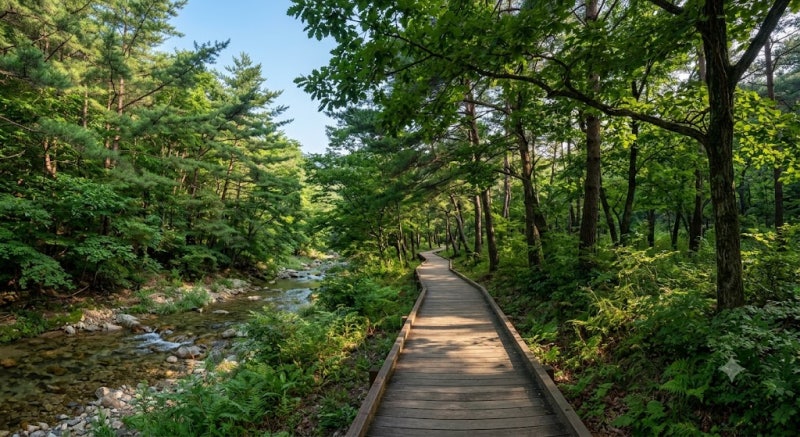 충북 괴산 조령산 자연휴양림 숙소 및 코스 선택 기준, 초록빛 숲속에서 즐기는 완벽한 힐링 ....
