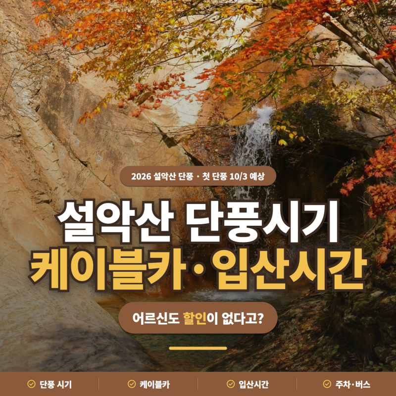 아직은 단풍이 덜 폈어요 ㅣ설악산 단풍시기 2026·케이블카·입산시간