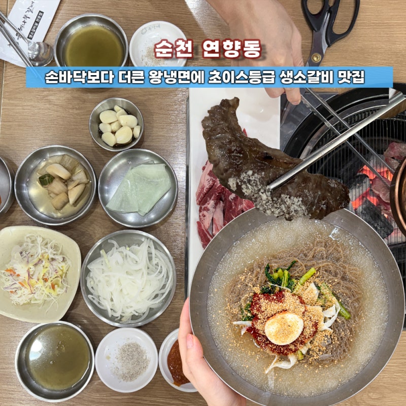 점심 밥 대신 왕냉면 소갈비살 순천 연향동 맛집 은행나무갈매기