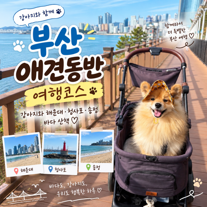 부산 애견동반 가볼만한곳 7곳｜강아지와 직접 다녀온 부산 여행코스